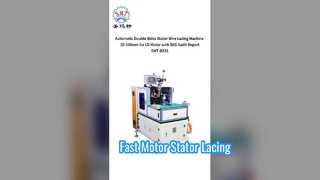 Automatische statordraadvetermachine voor motoren